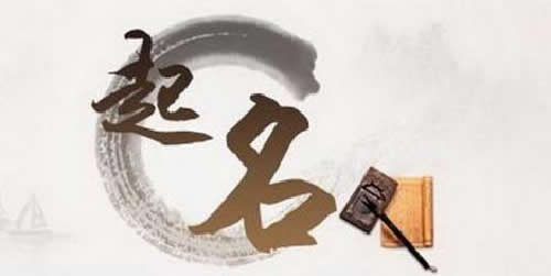 互联网项目解析之网络起名 实操介绍