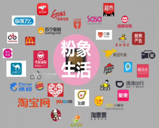 粉象生活运作模式怎么样?我为什么会选择粉象生活?