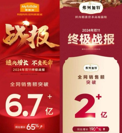 研发铸就辉煌：乖宝宠物双11夺冠背后的创新力量