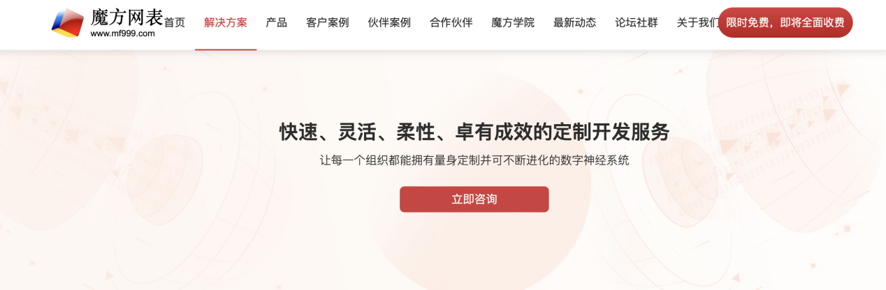 魔方网表，管理软件开发个体户的赚钱神器