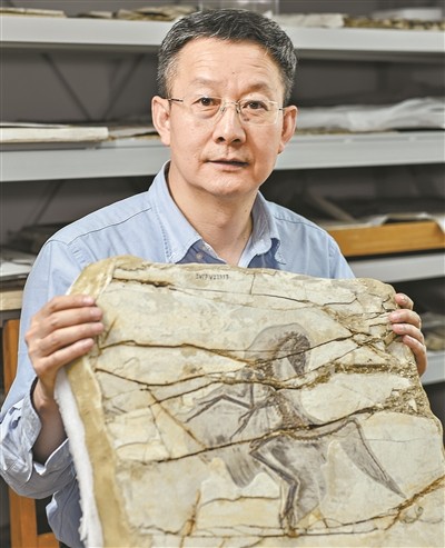 广东恐龙版图再添新成员,超龙化石入藏正佳自然科学博物馆