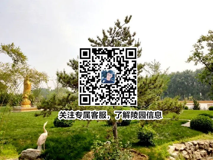 67a40c3ae7c65.jpg jiulishanerqu.jpg