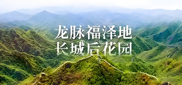 探秘九公山长城纪念林，感受生命与