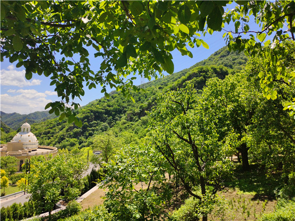 67a40e59bcf00.jpg 5.jpg