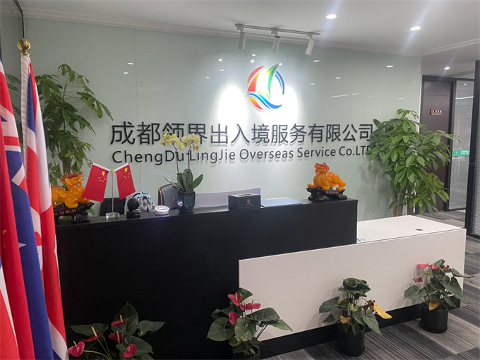 领界出入境服务：连接世界的桥梁