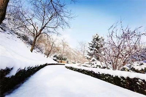九公山长城纪念林介绍